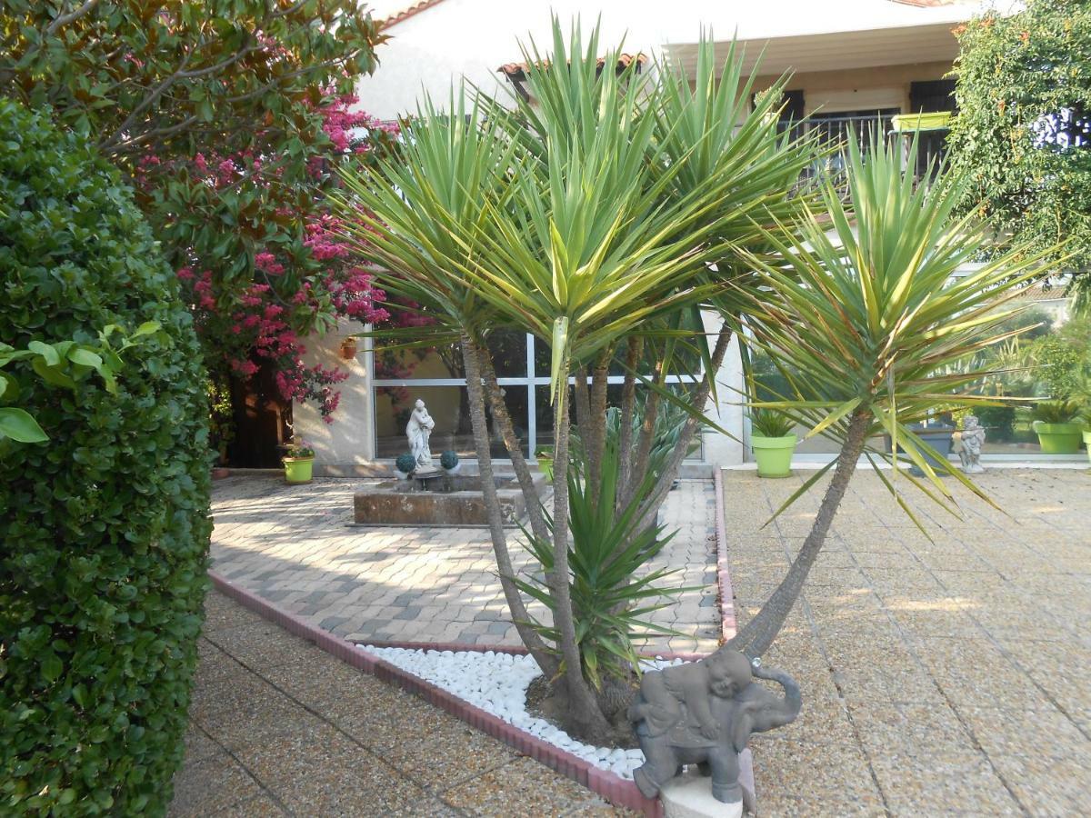 Maison Monica Exeptionnel-Jardin Paysage Zen Coursan Eksteriør billede